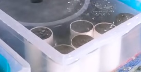 Para que a cura ocorra da melhor forma possível, a partir do segundo dia, é preciso manter o concreto molhado e para isso você pode deixar os moldes, com o concreto, completamente imersos em água durante este tempo ou os molhar diariamente. Faça o mesmo procedimento com os corpos de prova.