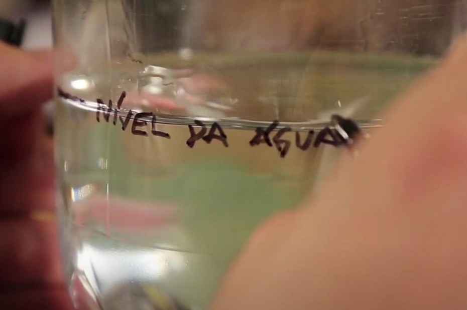 Depois que a água estiver parada, use a caneta de tinta permanente para marcar na garrafa PET, logo na linha da água, como “nível da água”.